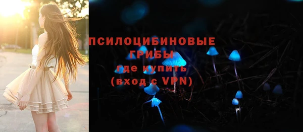 гидра Вязники