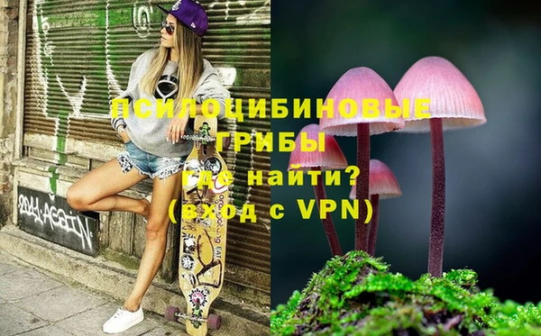 ALPHA PVP Вяземский