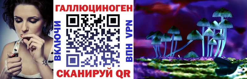 купить наркотики сайты  Гусев  Псилоцибиновые грибы Psilocybe 